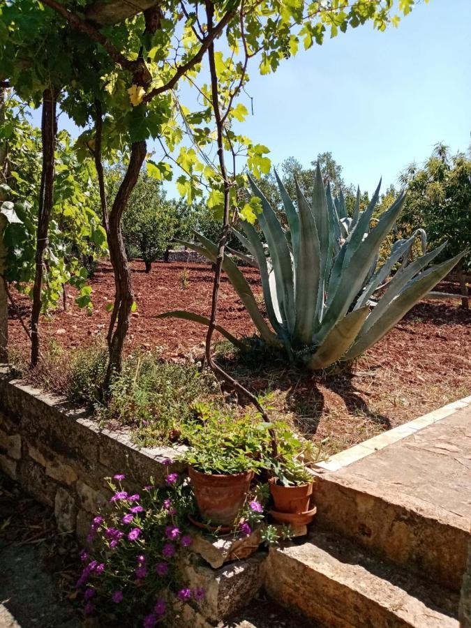 Il Trullo E Il Fortino 알베르벨로 외부 사진