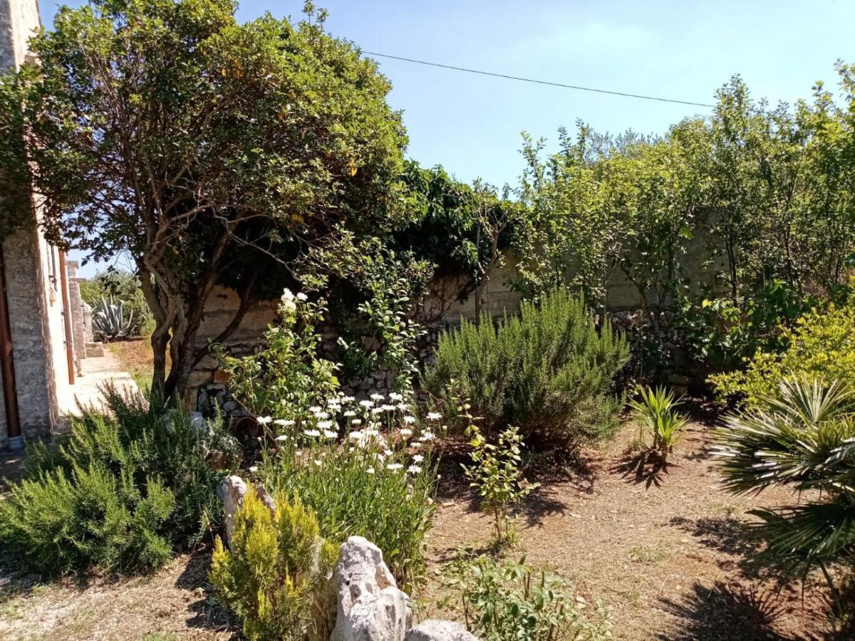 Il Trullo E Il Fortino 알베르벨로 외부 사진