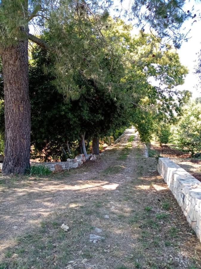 Il Trullo E Il Fortino 알베르벨로 외부 사진
